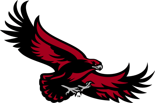 St. Joseph's Hawks 2001-Pres Alternate Logo v4 iron on transfers for T-shirts...